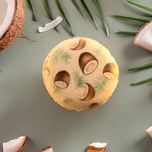 Coco – L’évasion tropicale