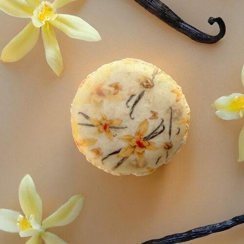 Vanille – L’élégance de la simplicité