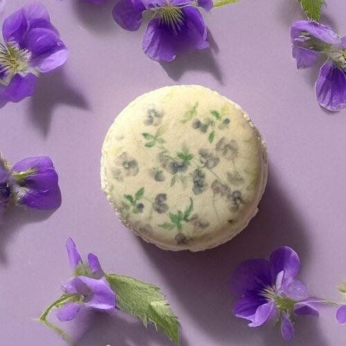 Violette – Le mystère floral